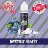 Myrtille Glacée - Wpuff - ZHC 50ml - 0mg