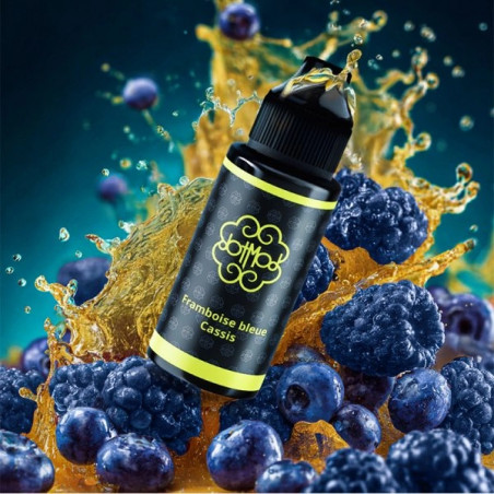 Framboise Bleue Cassis 0mg 100ml dans 120ml - DotMod
