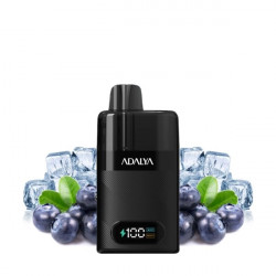 Blue Ice - Starter Kit Levo 30K 1000mAh 10ml/2% - Adalya