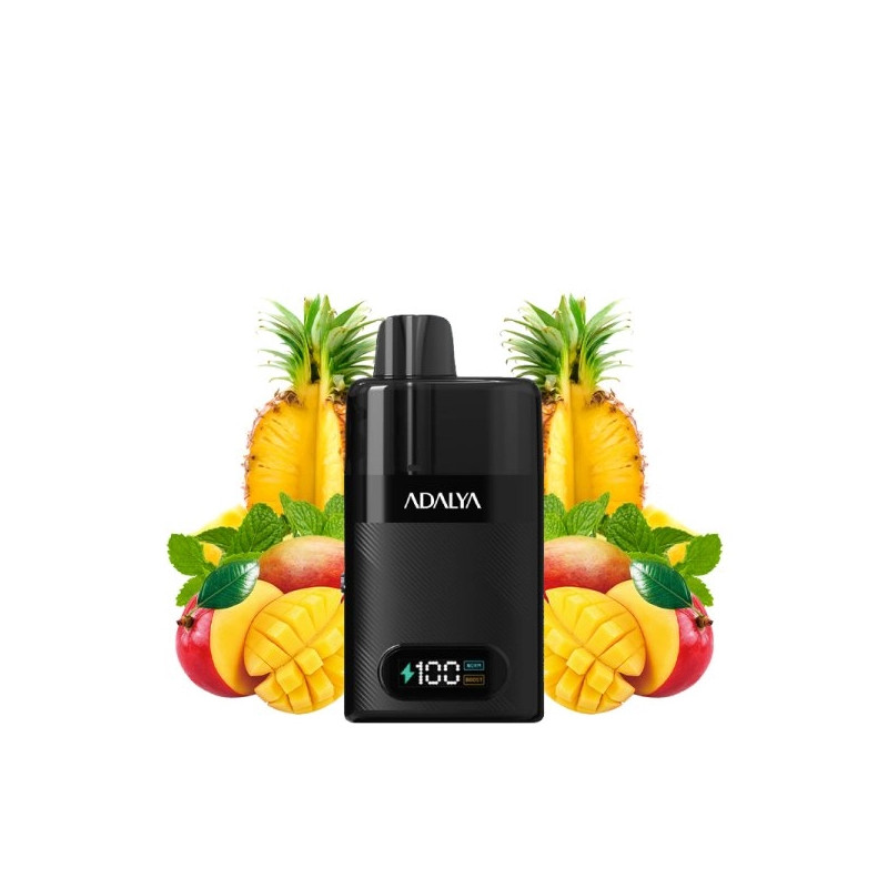 Hawai - Starter Kit Levo 30K 1000mAh 10ml/2% - Adalya