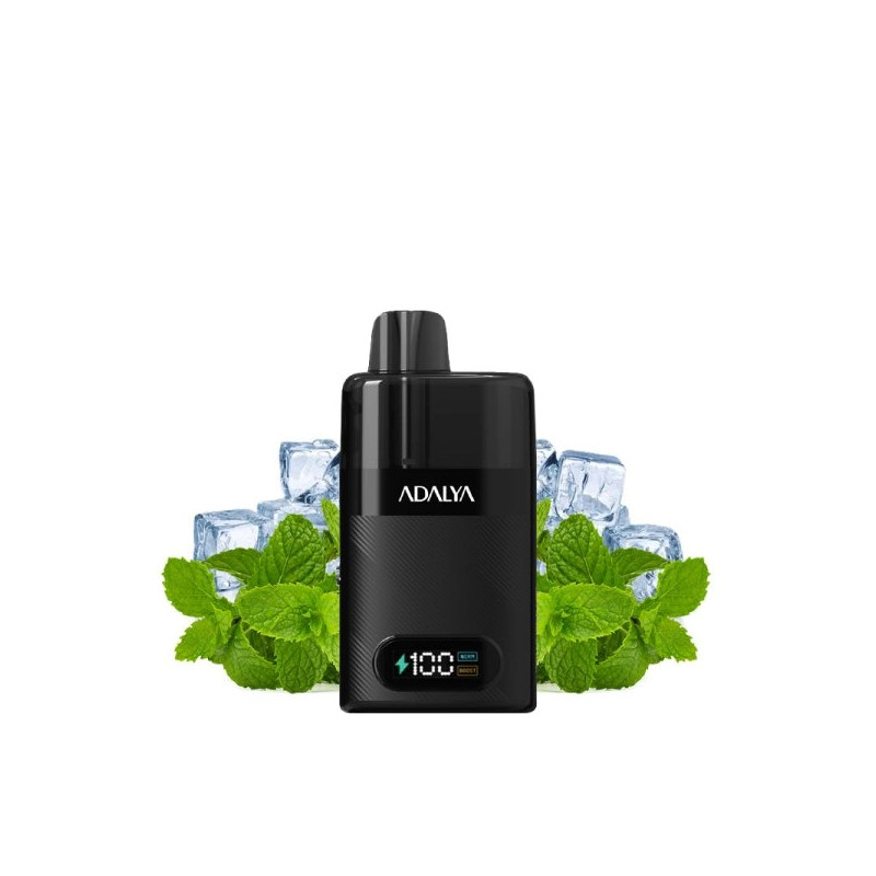 Menthol - Starter Kit Levo 30K 1000mAh 10ml/2% - Adalya