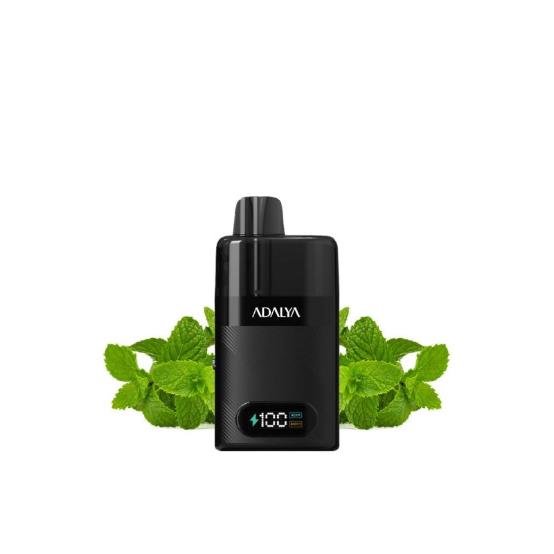 Mint Point - Starter Kit Levo 30K 1000mAh 10ml/2% - Adalya