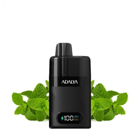 Mint Point - Starter Kit Levo 30K 1000mAh 10ml/2% - Adalya