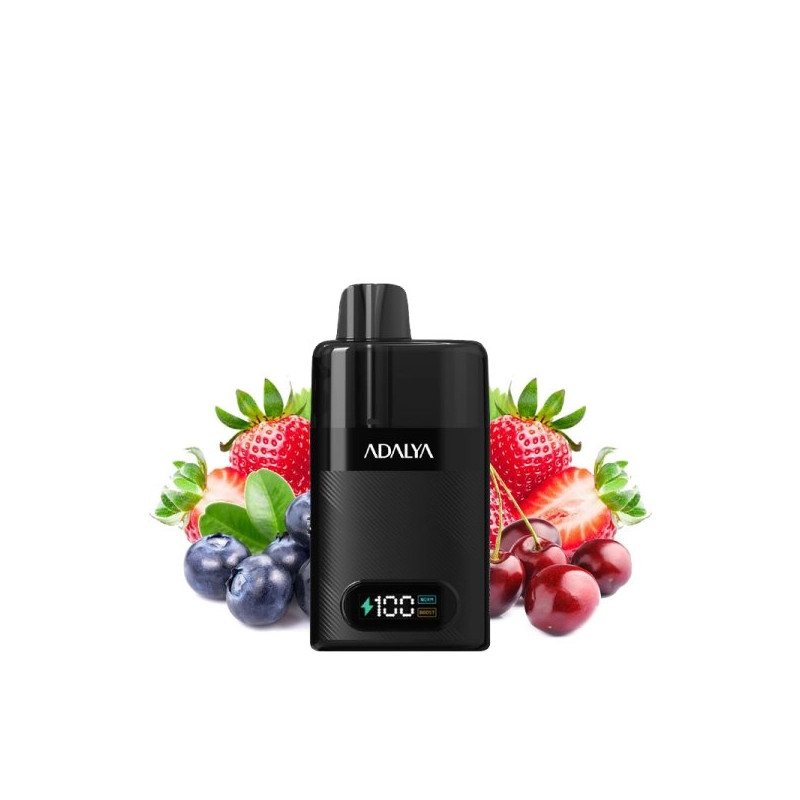 Punkman - Starter Kit Levo 30K 1000mAh 10ml/2% - Adalya