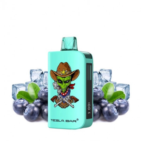 Blueberry Ice - ST-10K 2% 10ml - Tesla Bar by Teslacigs