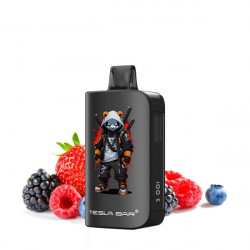 Mixed Berry - ST-10K 2% 10ml - Tesla Bar by Teslacigs