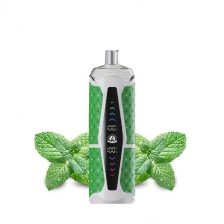 Spearmint Ultra Max 25k 850mAh 6mg - Starbuzz - 25000 Bouffées de Saveur Fraîche