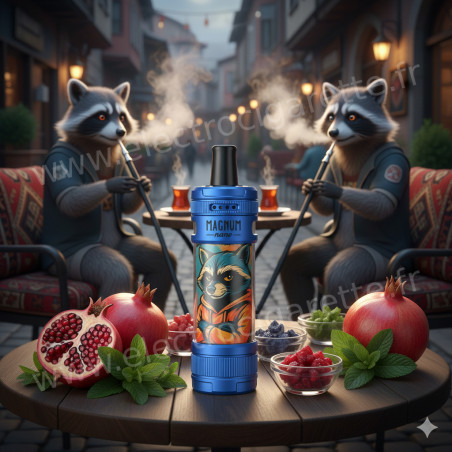 E-Chicha Magnum Nano - Aspire