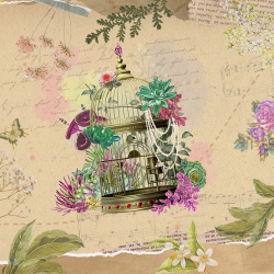 Cactus Framboise - Singularités - Al-Kimiya - ZHC 50mL - Icone