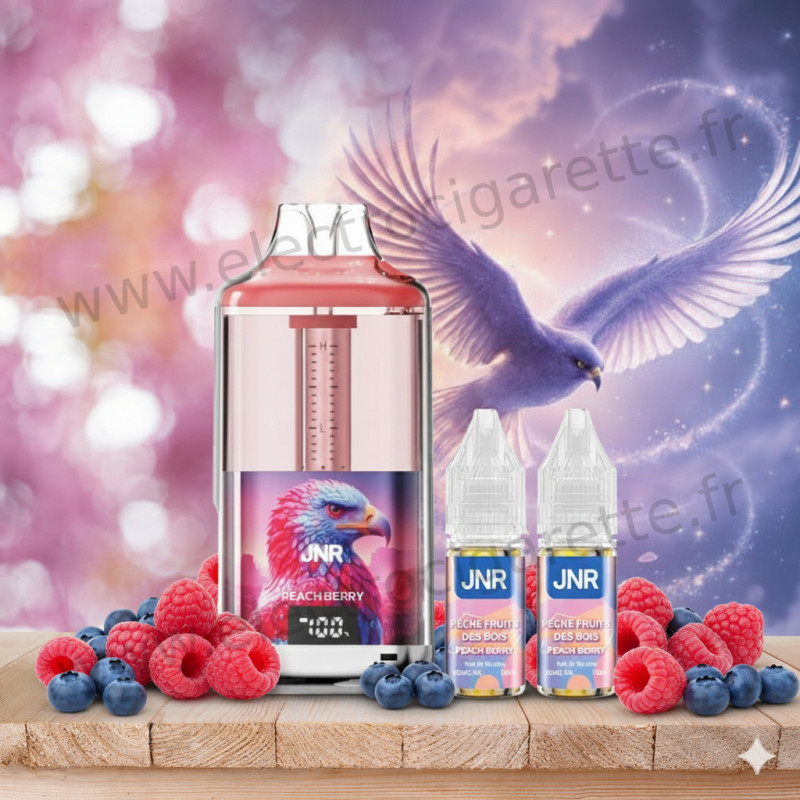 Blueberry Red Raspberry - Falcon Gem+ - 30K - 950mAh - 18ml / 2% - JNR