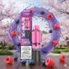 Blueberry Raspberry - Cartouche Pod Pré-remplie X-Line 15k - X-Bar