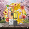 Peach Ice - Cartouche Pod Pré-remplie X-Line 15k - X-Bar