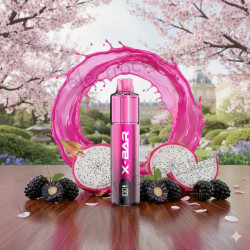 Black Dragon - Starter Kit X-Line - 15k - 2% - X-Bar