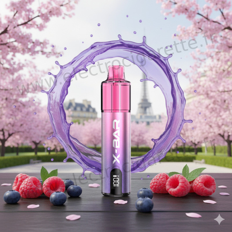 Blueberry Raspberry - Starter Kit X-Line - 15k - 2% - X-Bar