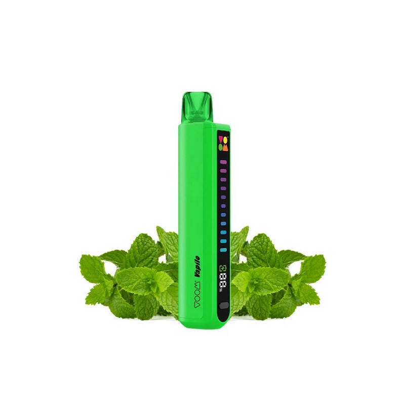 Mint - Starter Kit Vapilo 800 20mg - Voom