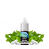 Gum Mint - Nic Salt 20mg 10ml - Al Fakher - Crown Bar
