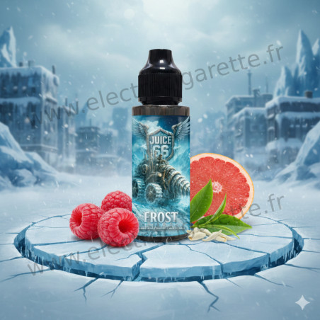 Frost - Ice Break - Juice 66 - 100mL