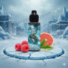 Frost - Ice Break - Juice 66 - 100mL