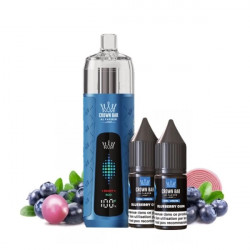 Blueberry Gum - Kit Refill Pro 1000mAh 2x10ml 6mg - Crown Bar Al Fakher