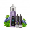 Grape Mint - Kit Refill Pro 1000mAh 2x10ml 6mg - Crown Bar Al Fakher