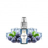 Saveur Blueberry Ice - NES - Klip's 30k 2200mAh 7ml / 20mg - Fumytech x Tornadoliq