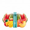 Watermelon Mango - Cartouche Stellarc 2+10ml + 3 E-liquides 10ml 2% - JNR