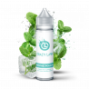 Menthe Polaire - ShortFill - Crazy Labs - MG Vape - ZHC 50 ml
