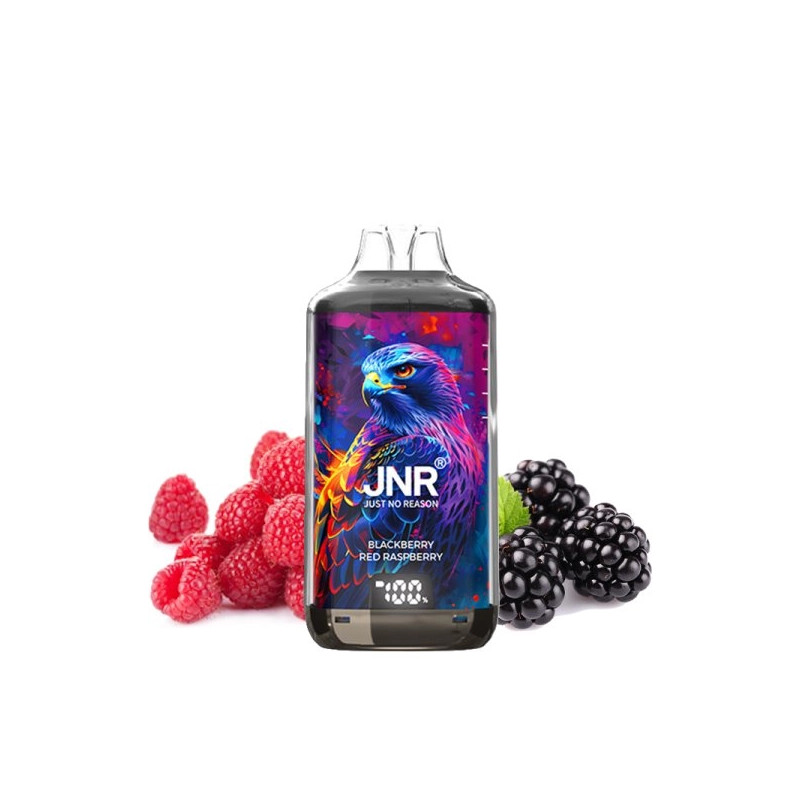 Kit Falcon X 28000 JNR - Blackberry Red Raspberry - 2x10ml 20mg