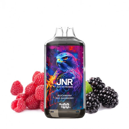 Kit Falcon X 28000 JNR - Blackberry Red Raspberry - 2x10ml 20mg