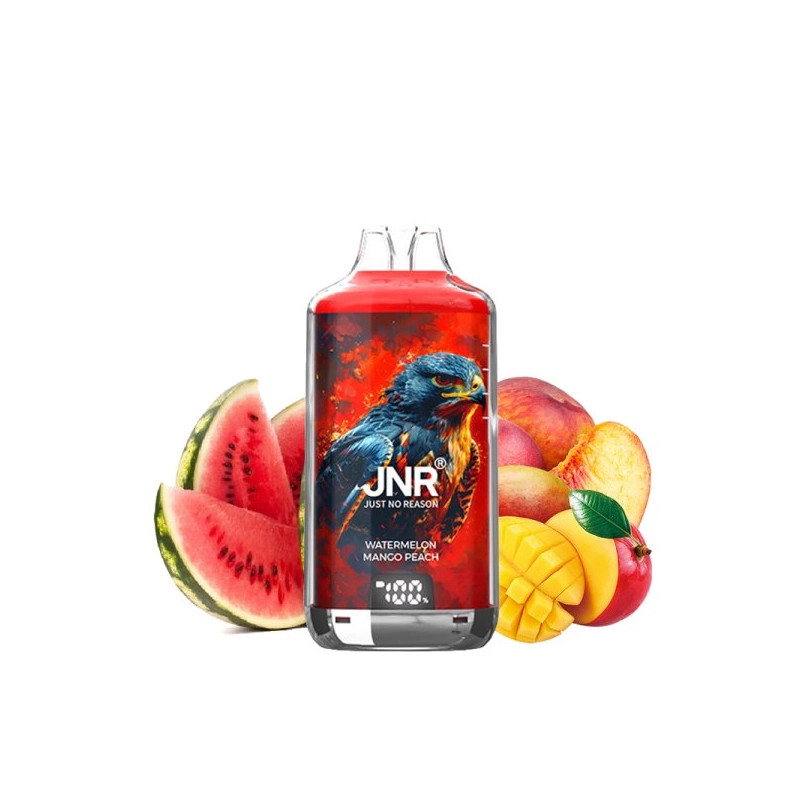 Kit Falcon X 28000 JNR - Watermelon Mango Peach - 2x10ml 20mg