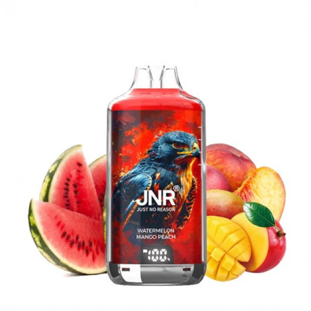 Kit Falcon X 28000 JNR - Watermelon Mango Peach - 2x10ml 20mg