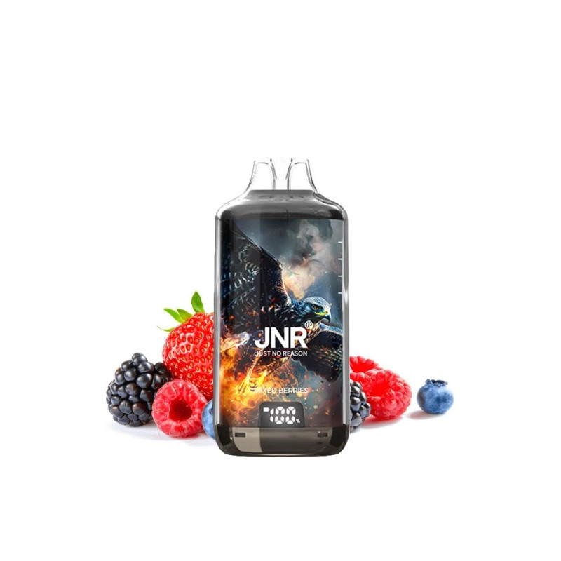 Kit Falcon X 28000 JNR - Mixed Berries - 2x10ml 20mg