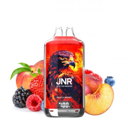 Kit Falcon X 28000 JNR - Peach Berry - 2x10ml 20mg