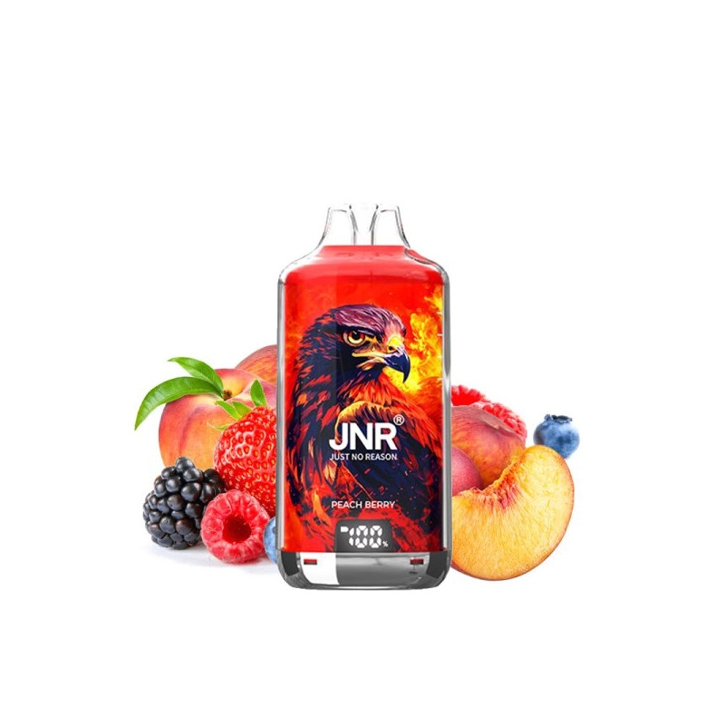 Kit Falcon X 28000 JNR - Peach Berry - 2x10ml 20mg