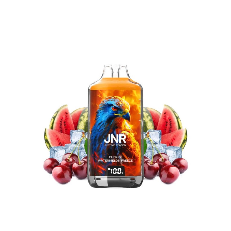 Cherry Watermelon Freeze - Kit Falcon X 28000 JNR - 2x10ml 20mg