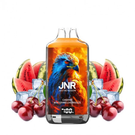 Cherry Watermelon Freeze - Kit Falcon X 28000 JNR - 2x10ml 20mg