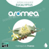 Eucalyptus - Aromea
