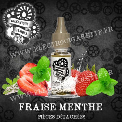 Fraise Menthe - Mecanique des Fluides