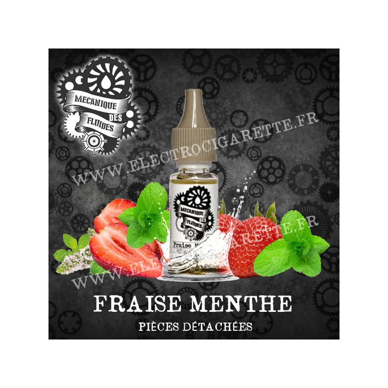 Fraise Menthe - Mecanique des Fluides