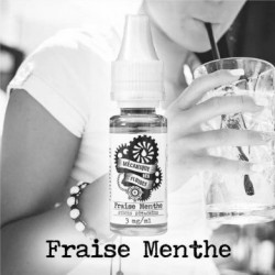 Fraise Menthe - Mecanique des Fluides