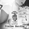 Fraise Menthe - Mecanique des Fluides