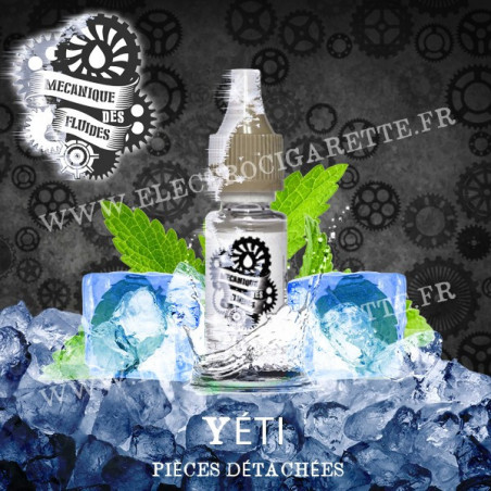 Yeti - Mecanique des Fluides