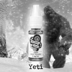 Yeti - Mecanique des Fluides