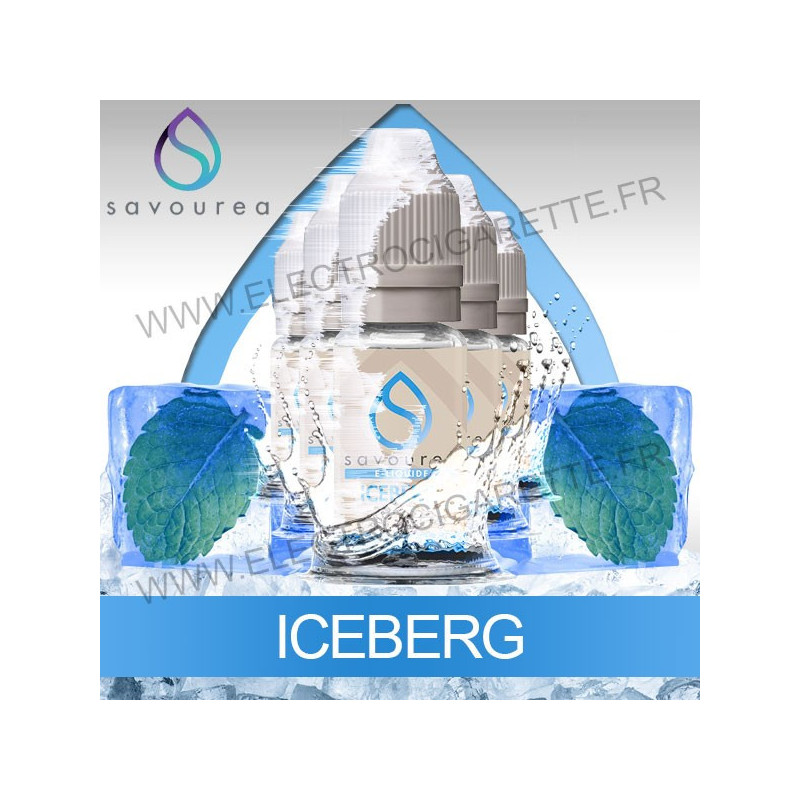 Pack 5 flacons 10 ml Iceberg - Savourea