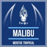 Halo Malibu - Arôme Concentré - 10ml