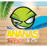 Ananas-Tropical & Co - Exo - Revolute - Arome Concentré