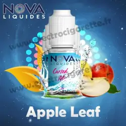 Pack 5 flacons Apple Leaf - Nova Liquides Galaxy