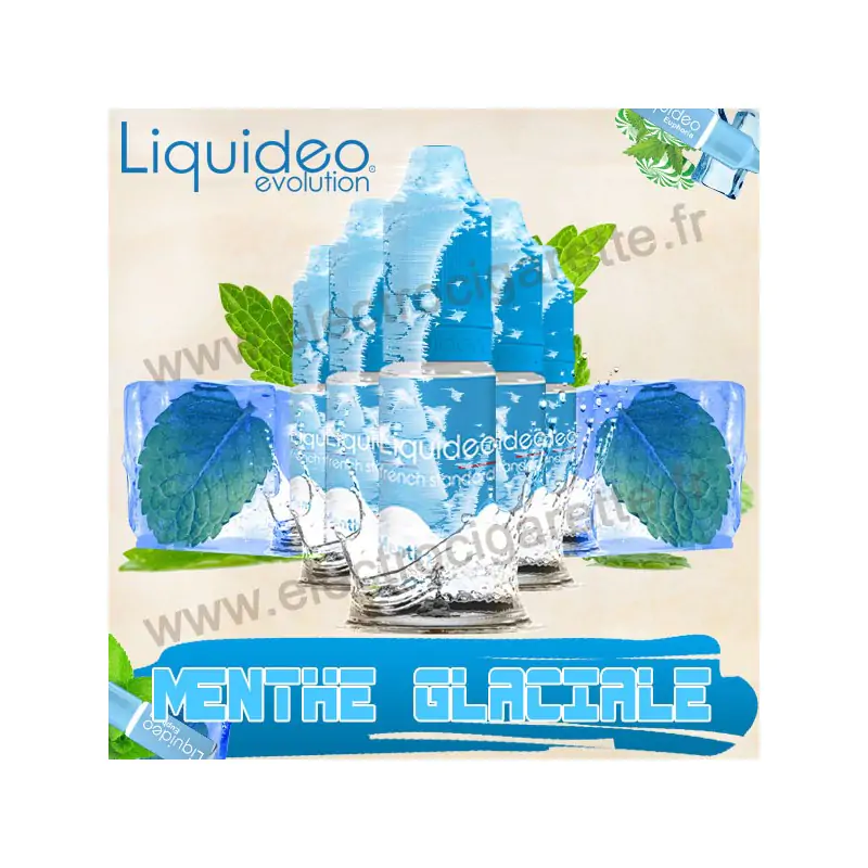 Pack de 5 flacons Menthe Glaciale French Standard - Liquideo