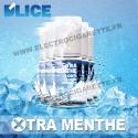 Pack 5 flacons 10 ml Xtra Menthe - D'Lice
