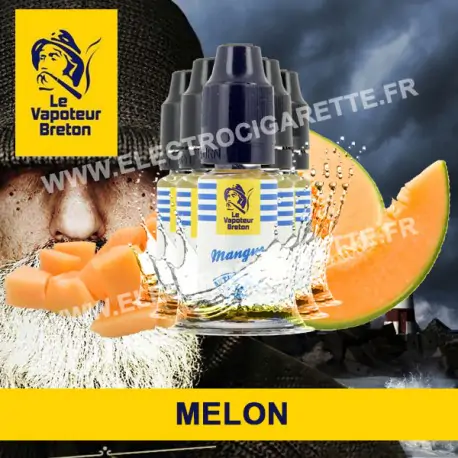Pack de 5 x Melon - L'Authentic - Le Vapoteur Breton - 10 ml